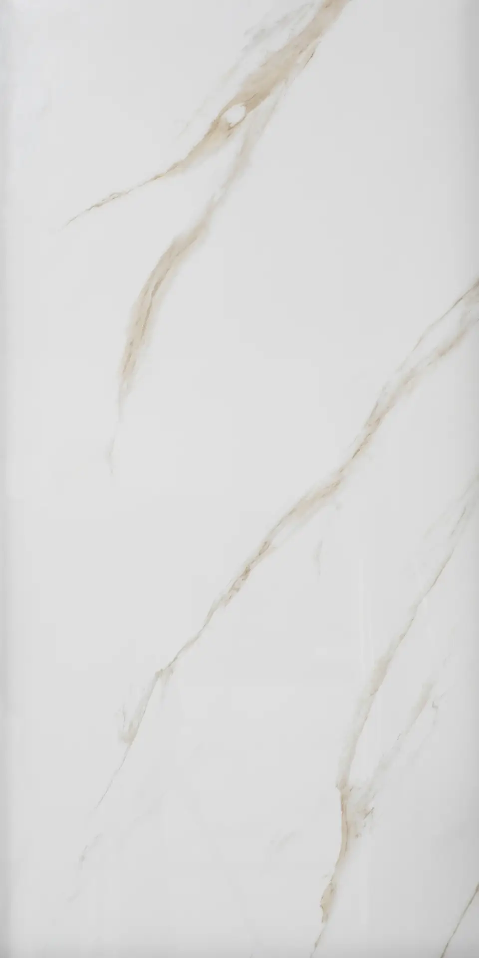 Calacatta Gold porcelain tile