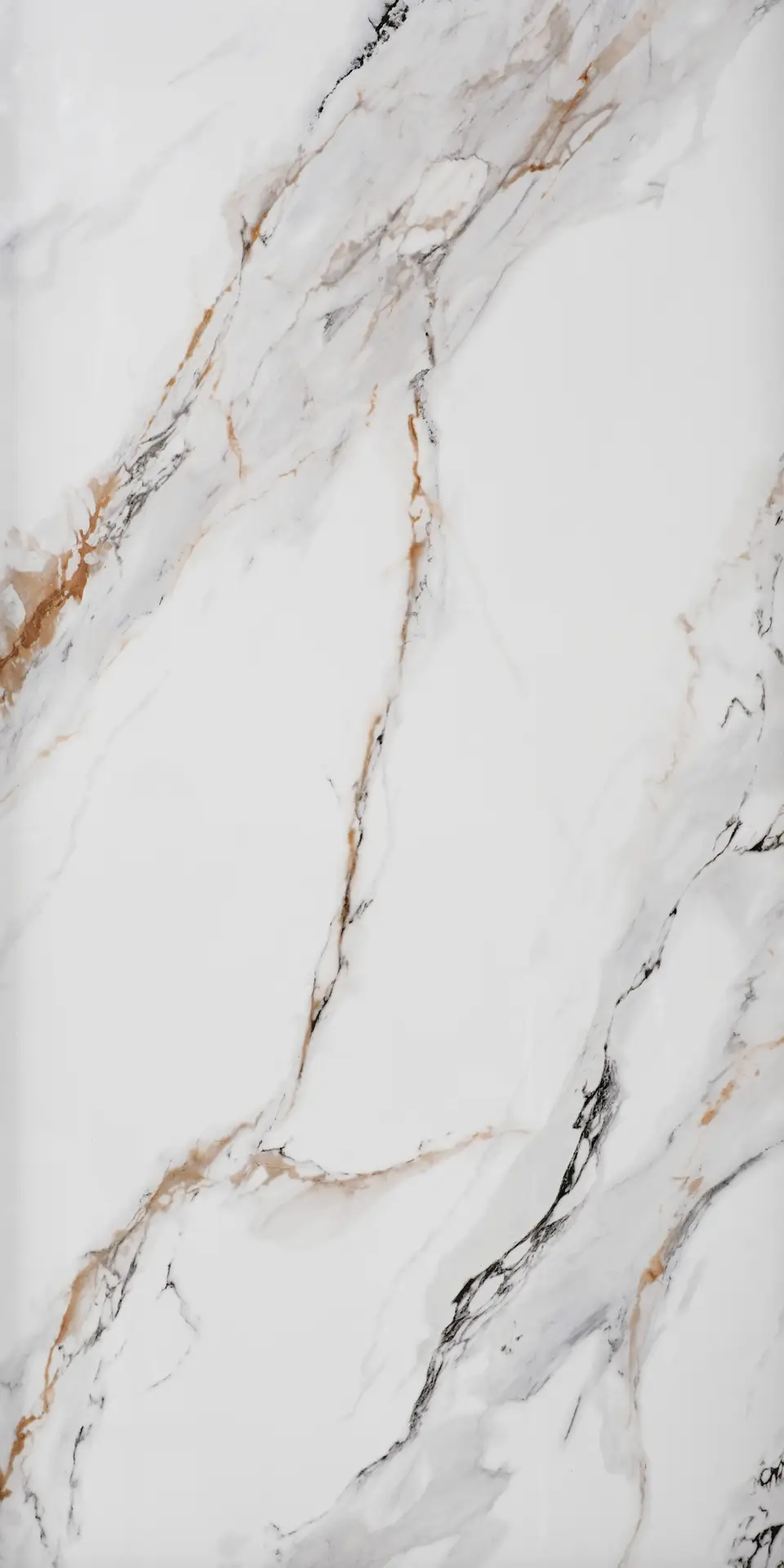 Eternal Gold Calacatta porcelain tile