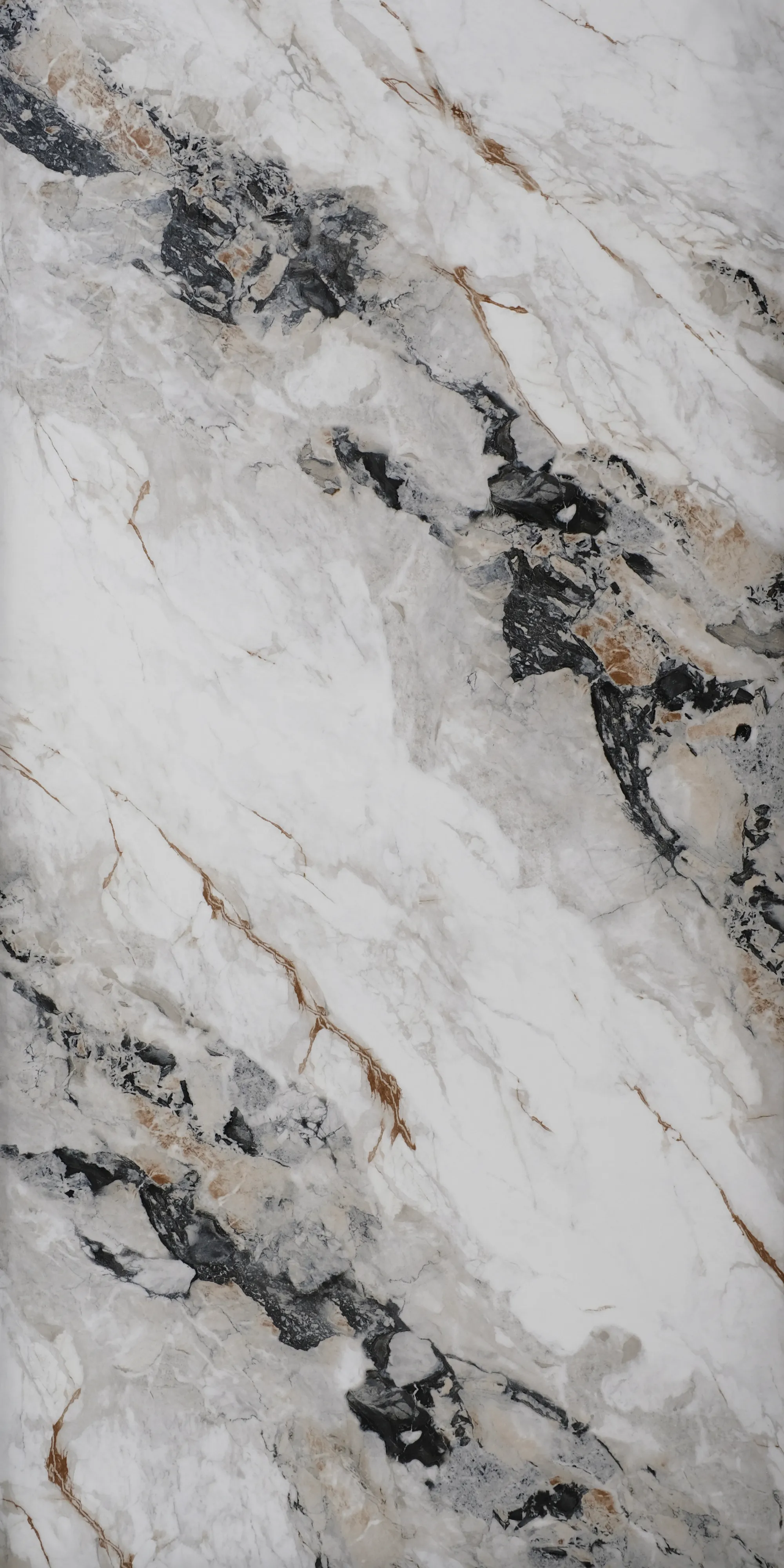 Bianco Nero Gold porcelain tile