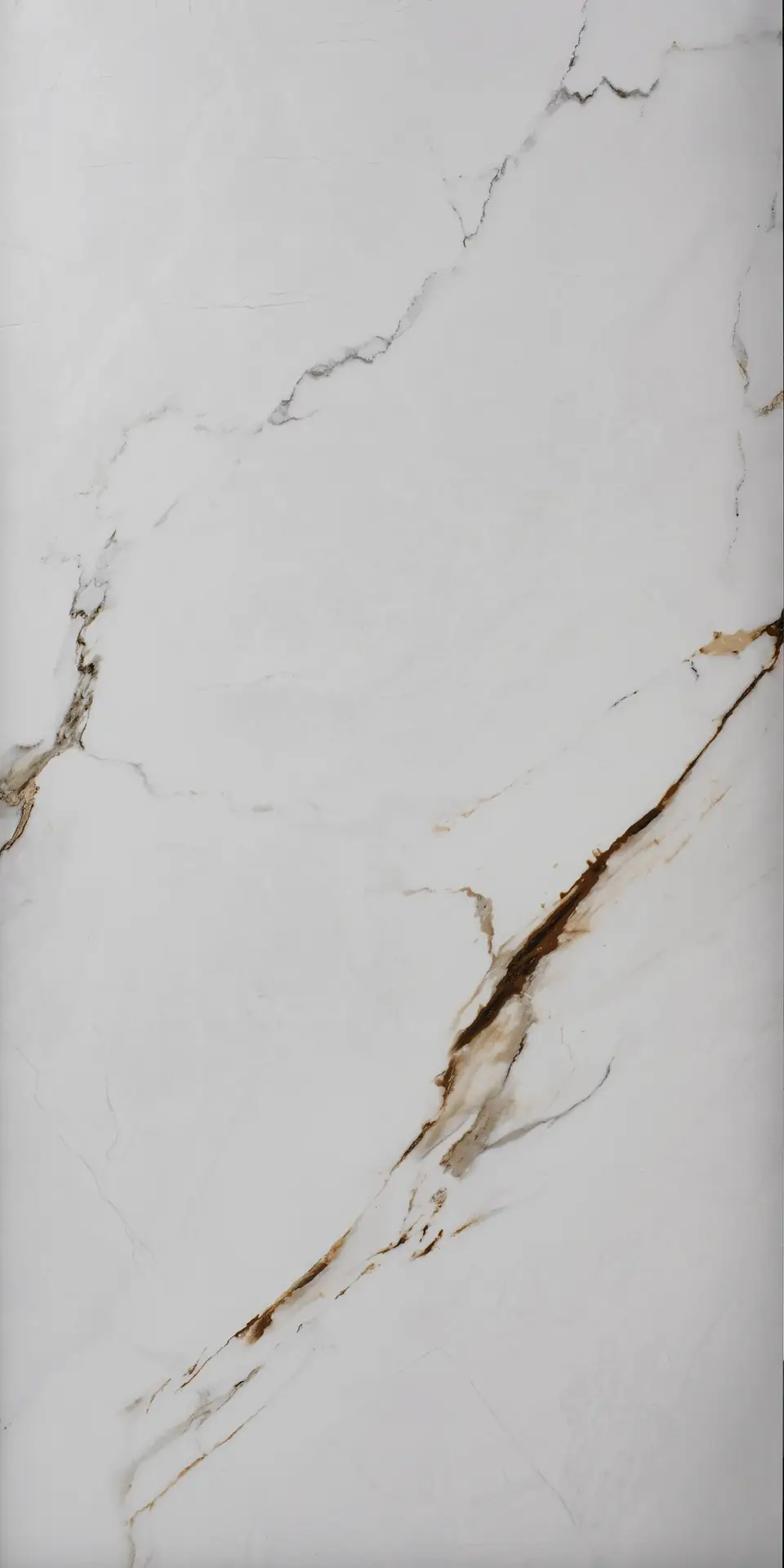 Calacatta Bronze porcelain tile