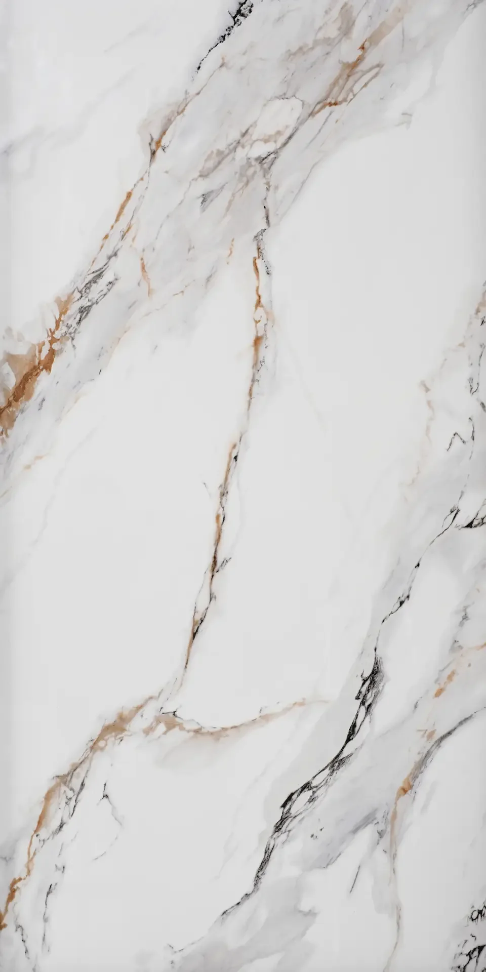 Eternal Gold Calacatta porcelain tile
